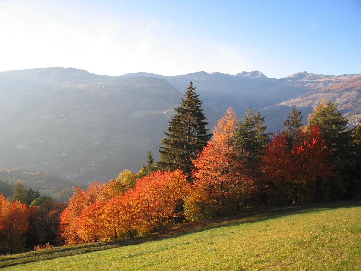 Agriturismo Ferienhof Gschloier (Adults Only) Лайон Екстер'єр фото